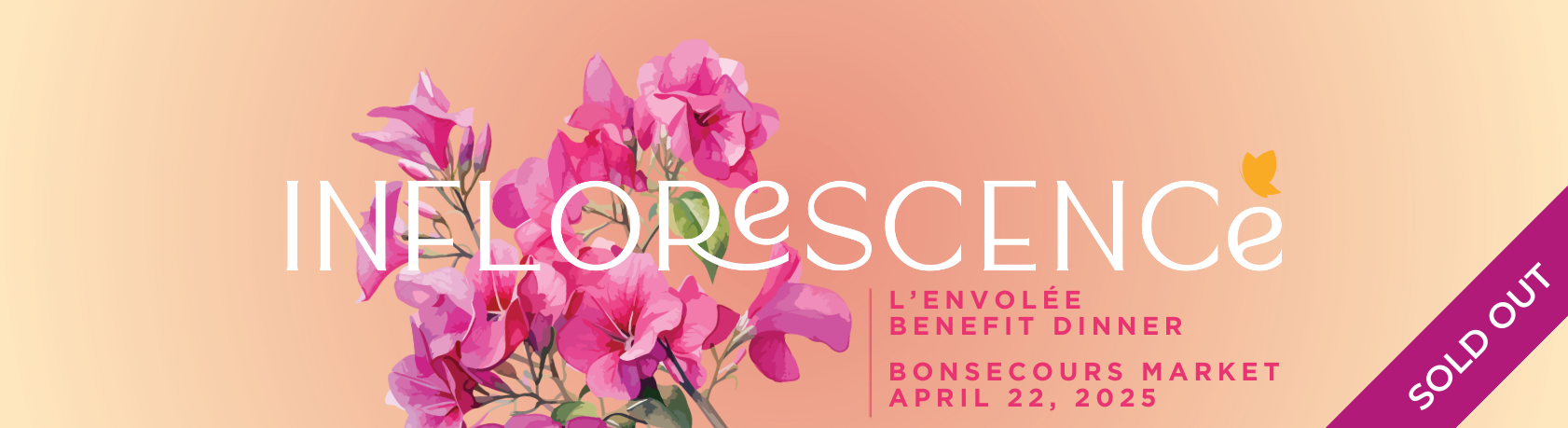 Header Site Français (13)