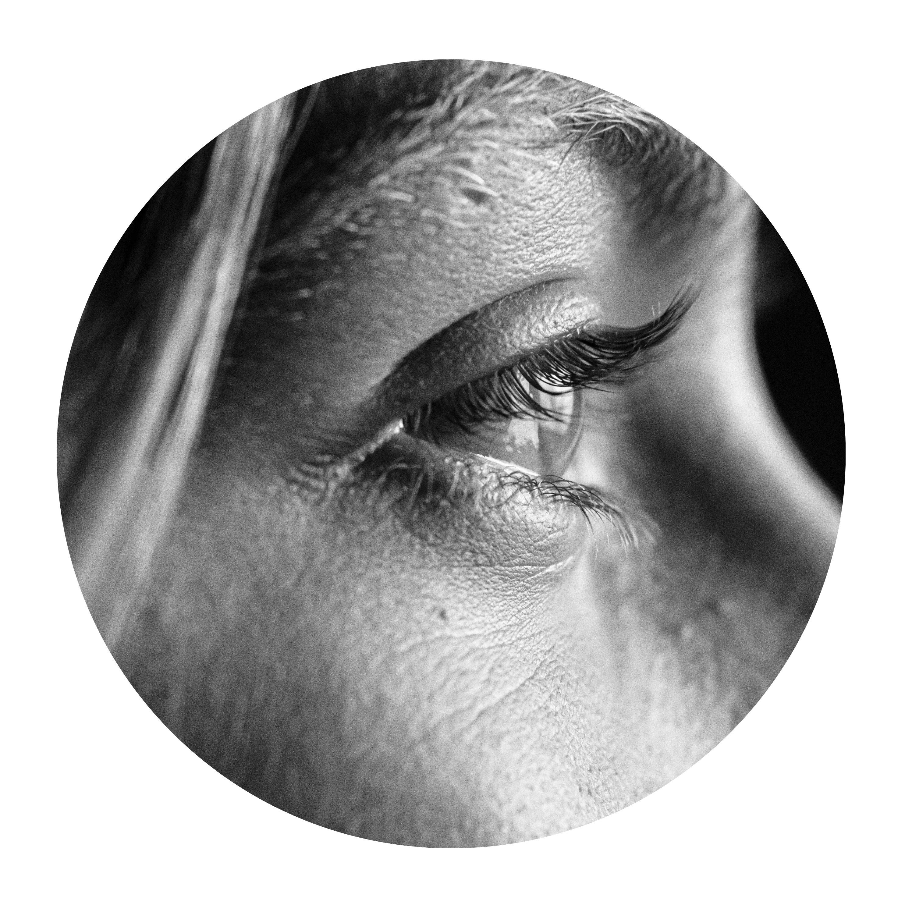 Icône Projet Village (11)