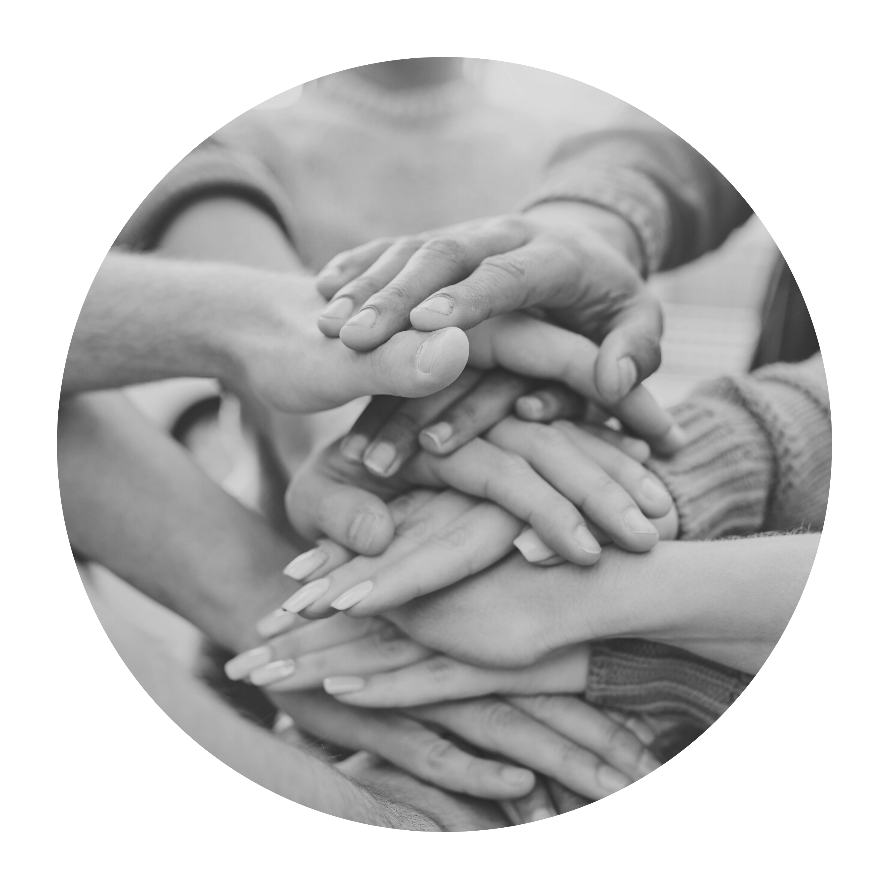 Icône Projet Village (12)